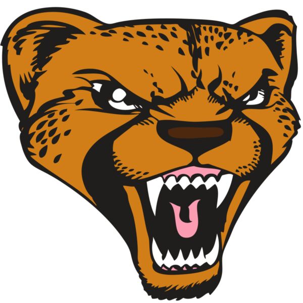 BAW CHEETAH 12 RC Thumbnail